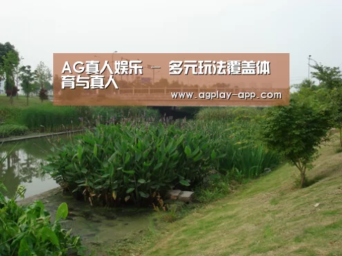 案例展示四(图1)