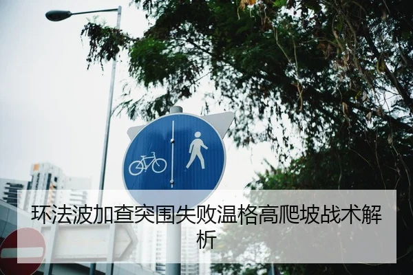 环法波加查突围失败温格高爬坡战术解析