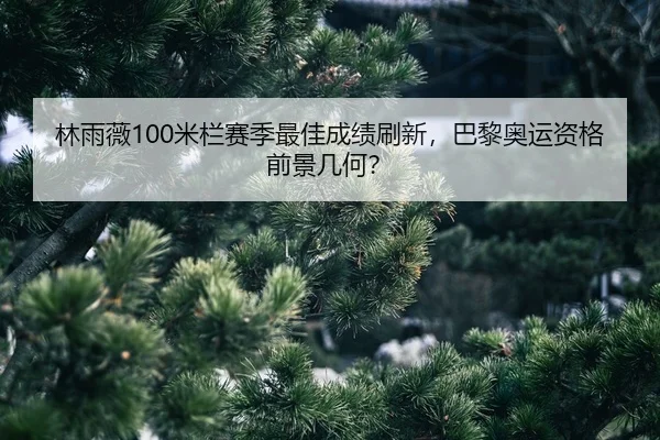 lin-yu-wei-mi-lan-sai-ji-zui-jia-cheng-ji-shua-xin-ba-li-ao-yun-zi-ge-qian-jing-ji-he-2-172.jpg