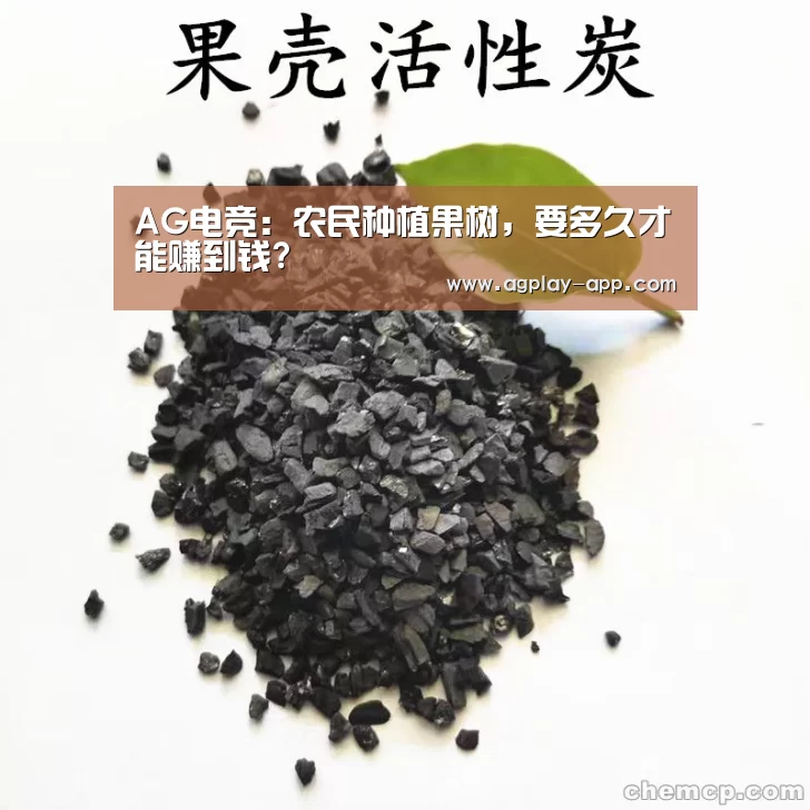 AG电竞
