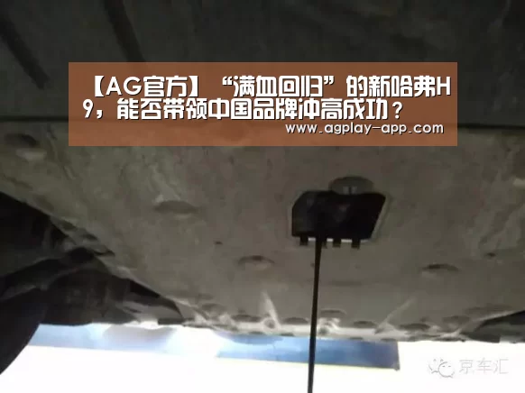 AG娱乐