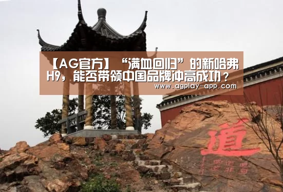 AG娱乐