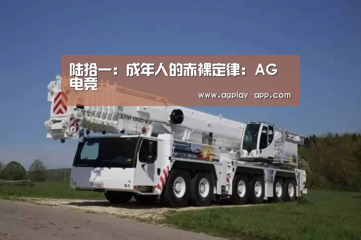 陆拾一：成年人的赤裸定律：AG电竞