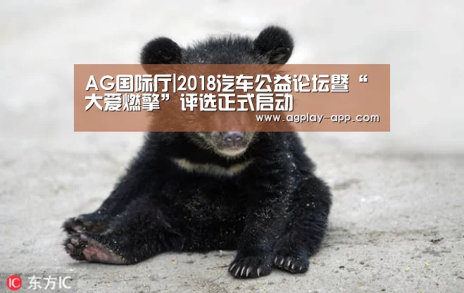 AG电竞