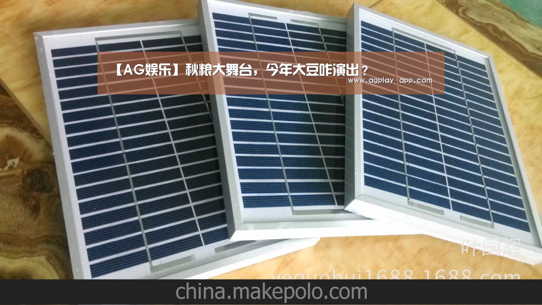 【AG娱乐】秋粮大舞台,今年大豆咋演出?(图2) AG电竞