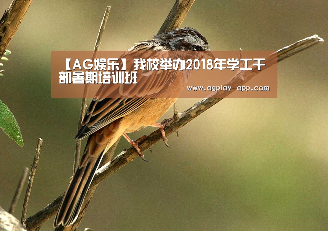 AG娱乐