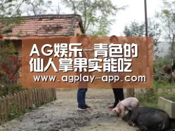 AG电竞